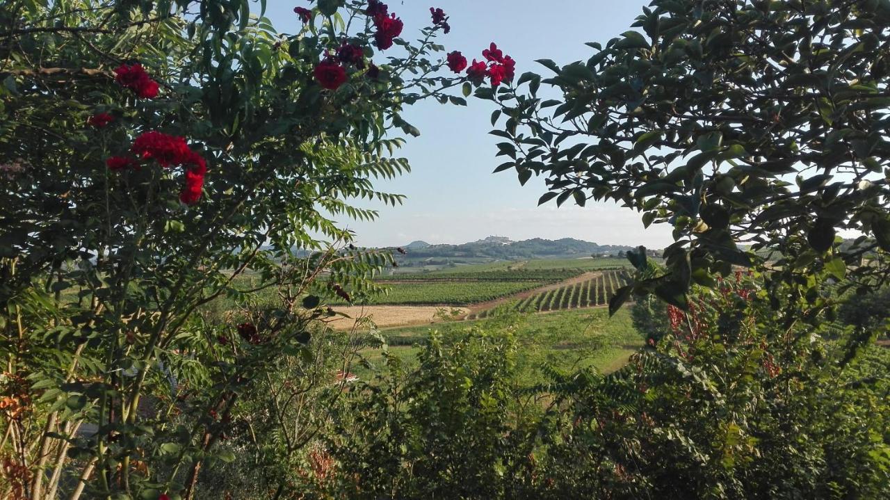 Agriturismo La Chiesina Abbadia di Montepulciano Екстериор снимка