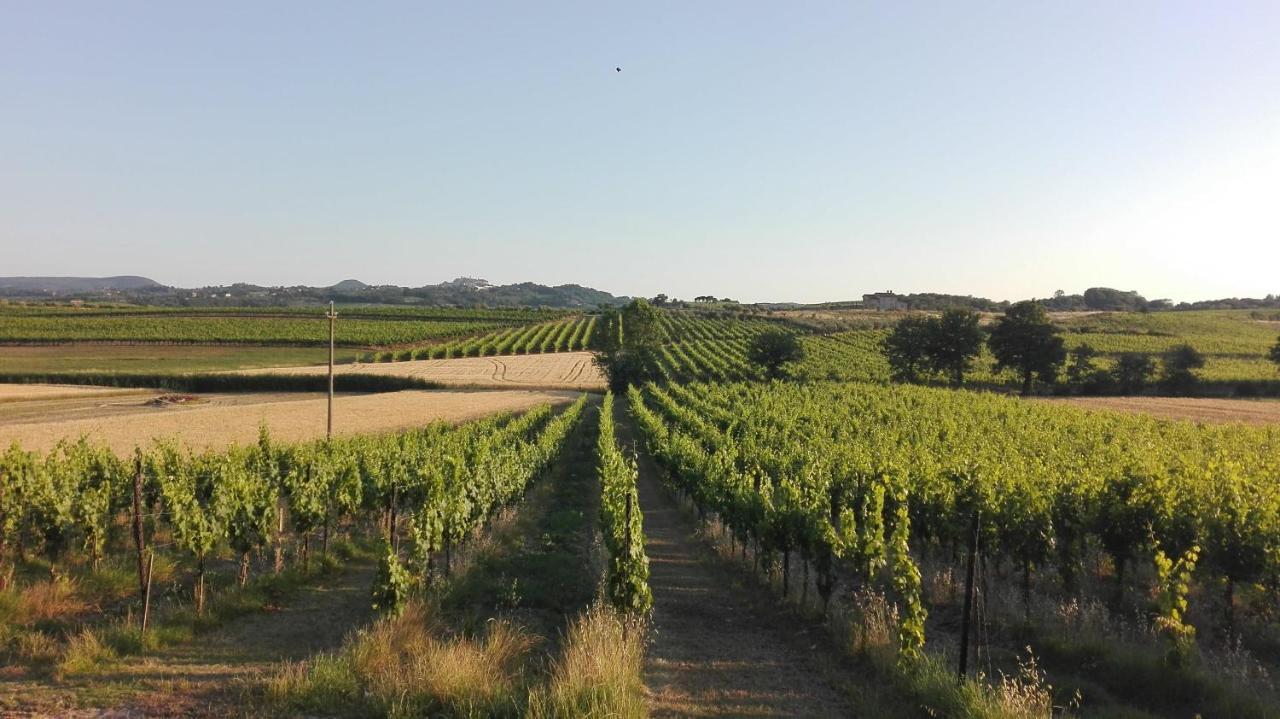 Agriturismo La Chiesina Abbadia di Montepulciano Екстериор снимка